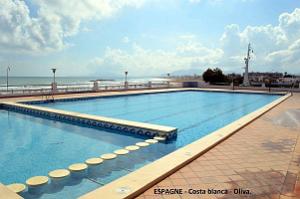 204- Oliva